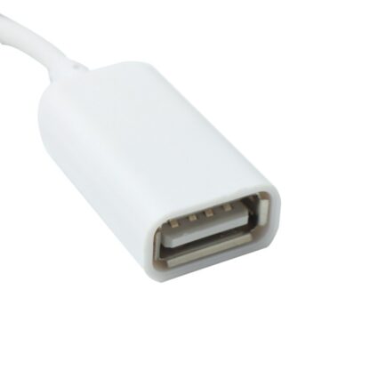 BLUEXIN 3.5 MMオスAuxオーディオプラグジャックにUSB 2.0メス変換ケーブルコードen - 画像 (4)