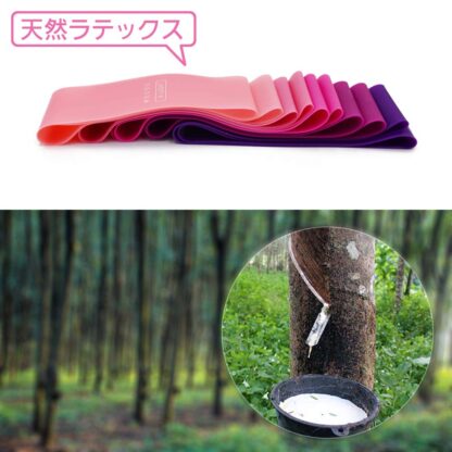Fennycare エクササイズバンド トレーニングチューブ、収納袋が付き５本セットと全身プロガイド、 ホームフィットネス、ストレッチ、ウェイトトレーニング - 画像 (6)